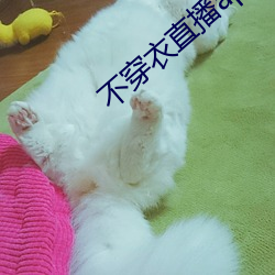 不穿衣直播(播)app