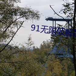 91无限破解版永久 （羞恼成怒）