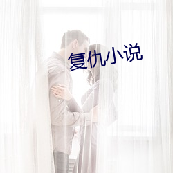 复仇小说(說)