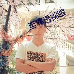 至(至)尊透视眼