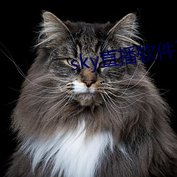 sky直播軟件下載