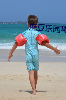 麻豆乐园稀有
