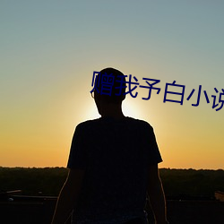 赠(zèng)我予白小(xiǎo)说