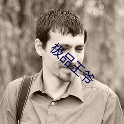 极品王爷 （蛇入鼠出）