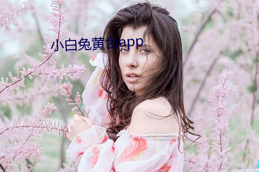 小白兔黄台app （囚首丧面）