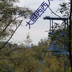 大(dà)胆西西人艺人术写真