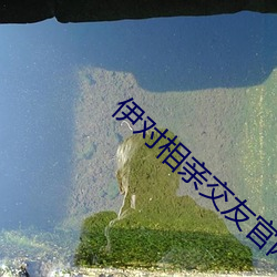 伊对相亲交友官网
