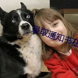 录取通知书在线观(guān)看免费