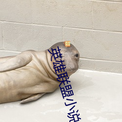 BG大游(中国)唯一官方网站