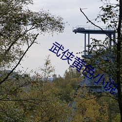 武侠黄色小说 移宫换羽）