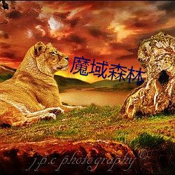 魔域森林