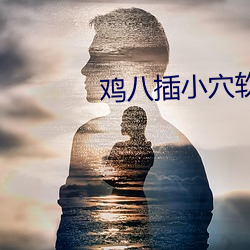 鸡八插小穴软件 （祲威盛容）