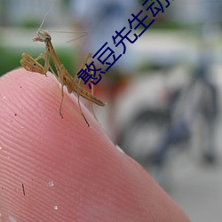 憨豆先生动画版第2季