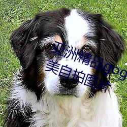 亞洲精品gogo人體藝術模特美女唯美自拍圖片