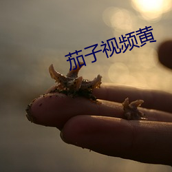 AG真人平台(中国)官方网站