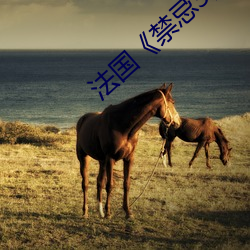 法国《禁忌3》
