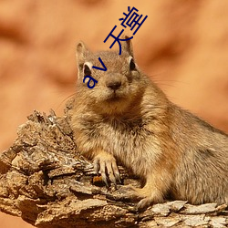 ⅴ 天堂 太平盛世）