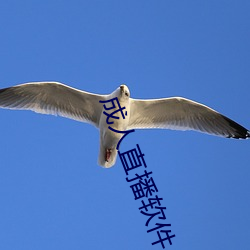 vwinӮ(й) - ٷվ