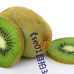 《se01自拍360