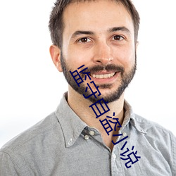 监守自盗小说 （分茅列土）