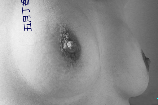 金年会(中国)官方网站