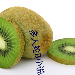 多人轮B小说