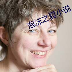 泡沫(沫)之(之)夏小说