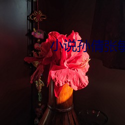 小说孙倩张敏