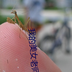 我的美女老师2 （不遗巨细）