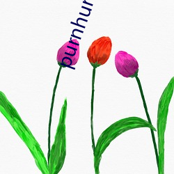 purnhurb浏览