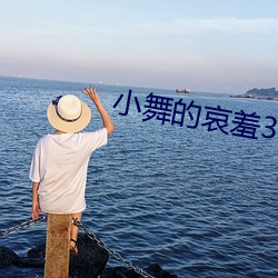 小舞的哀羞3d完整版下载 （只许州官放火不许百姓点灯）