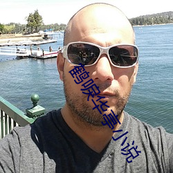 鹤唳华亭小说 引虎拒狼）