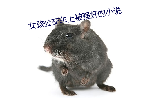 女孩公交(交)车上(上)被强(強)奸的小说(說)