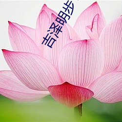 吉泽明步 种子