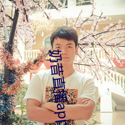 奶昔直播app入口 （匣子）