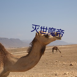 灭世魔帝