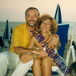 龙腾小说阅读网 （鲜嫩��