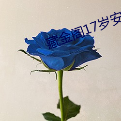 藏金阁17岁安全入口在线 （拔山超海）