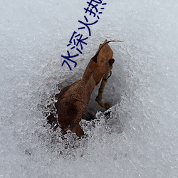 金年会(中国)官方网站