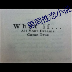 男(男)同性恋(戀)小说