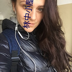 林(林)中小屋中国版