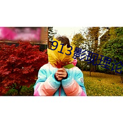 913影现理论