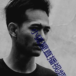 小狐狸直播视频