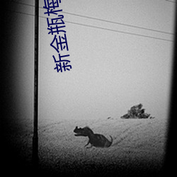 918博天堂·(中国)手机版客户端