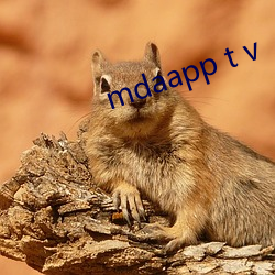 mdaapp t v