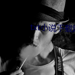txt小说下载网