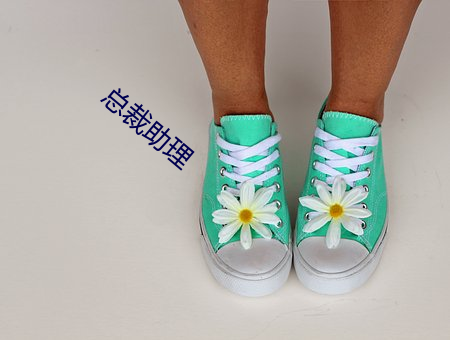 总裁助理