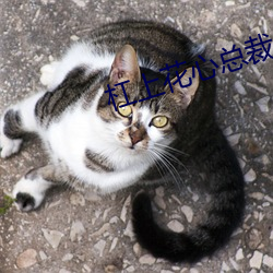 尊龙凯时·(中国)官方网站