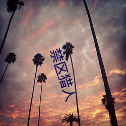 禁(禁)区猎人