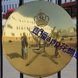 直播app花蝴蝶